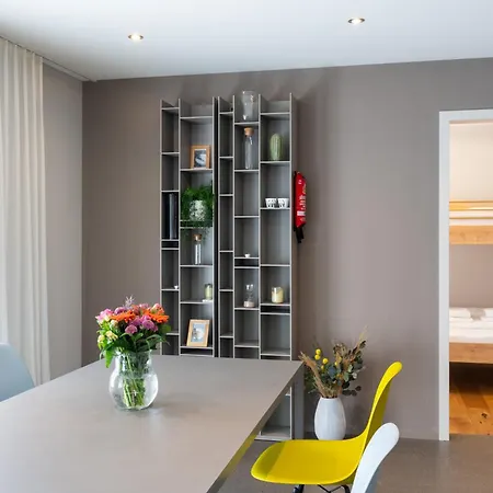 Modern Daire Interlaken